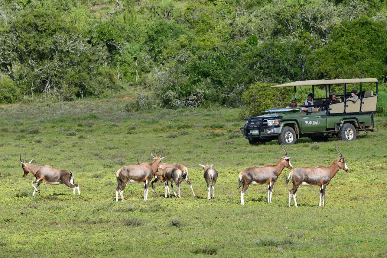 Villa Shamwari Eagles Crag Port Elizabeth Esterno foto