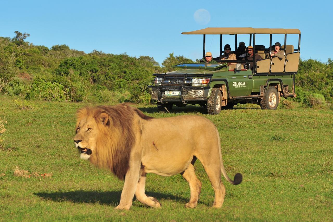 Villa Shamwari Eagles Crag Port Elizabeth Esterno foto