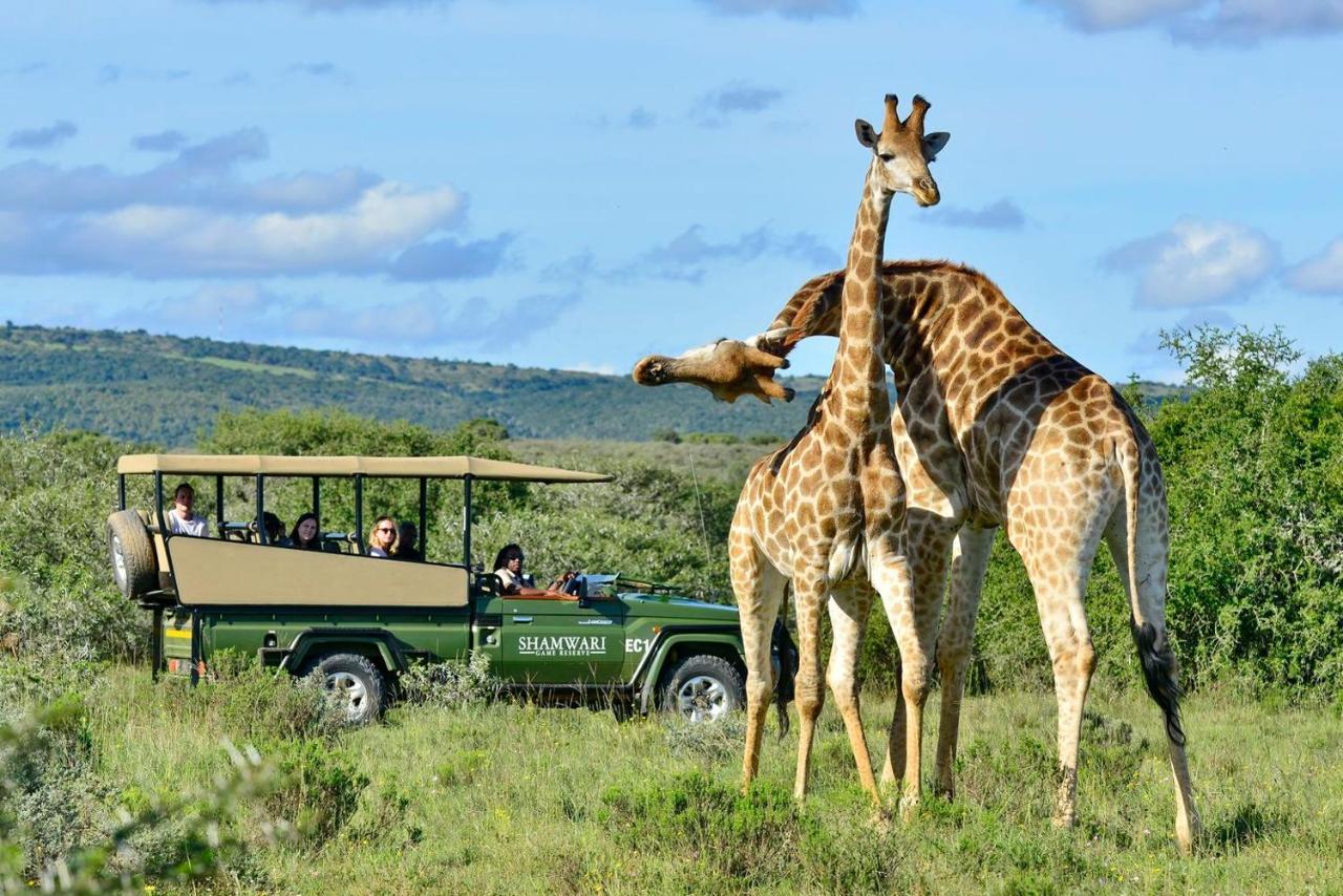 Villa Shamwari Eagles Crag Port Elizabeth Esterno foto