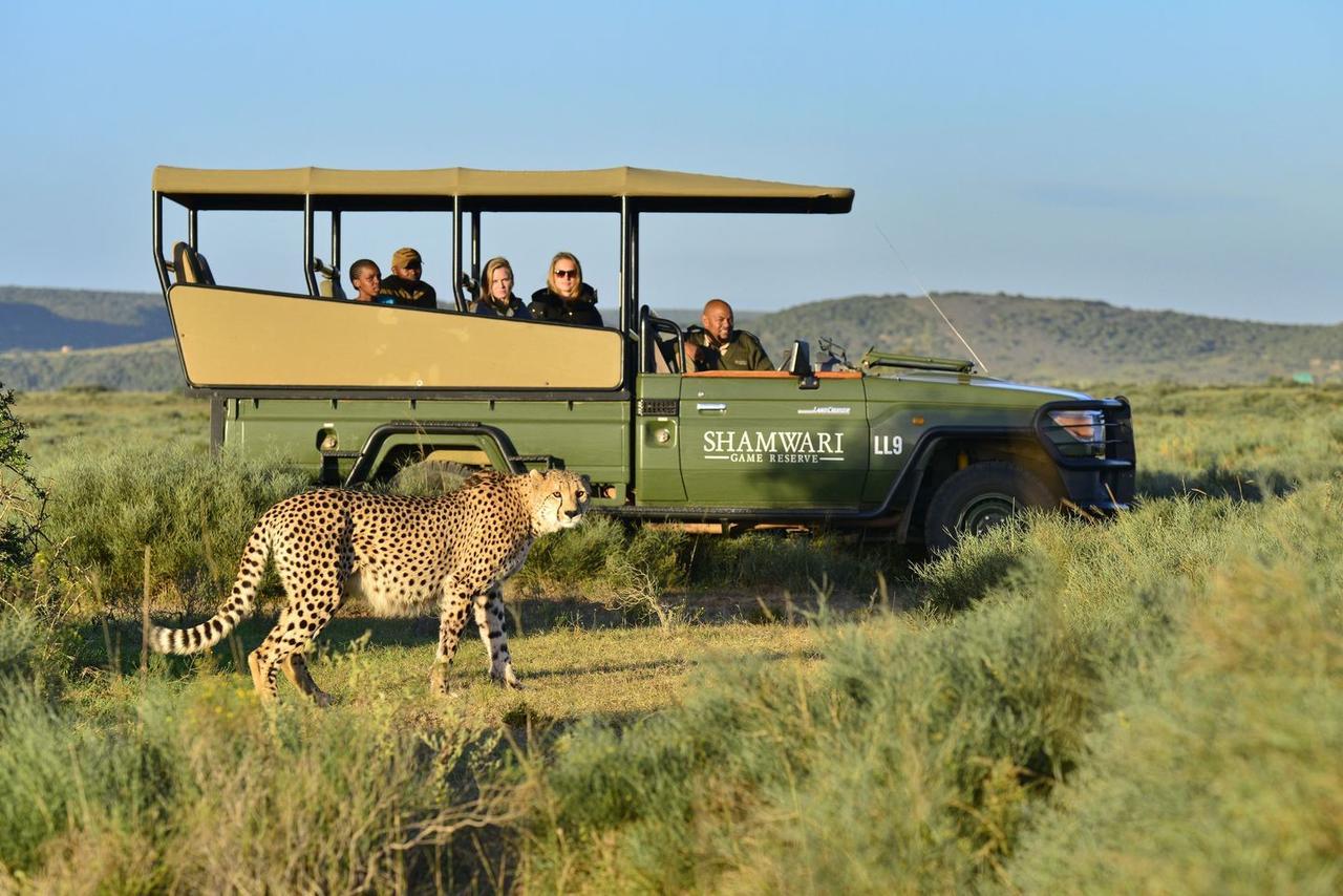 Villa Shamwari Eagles Crag Port Elizabeth Esterno foto