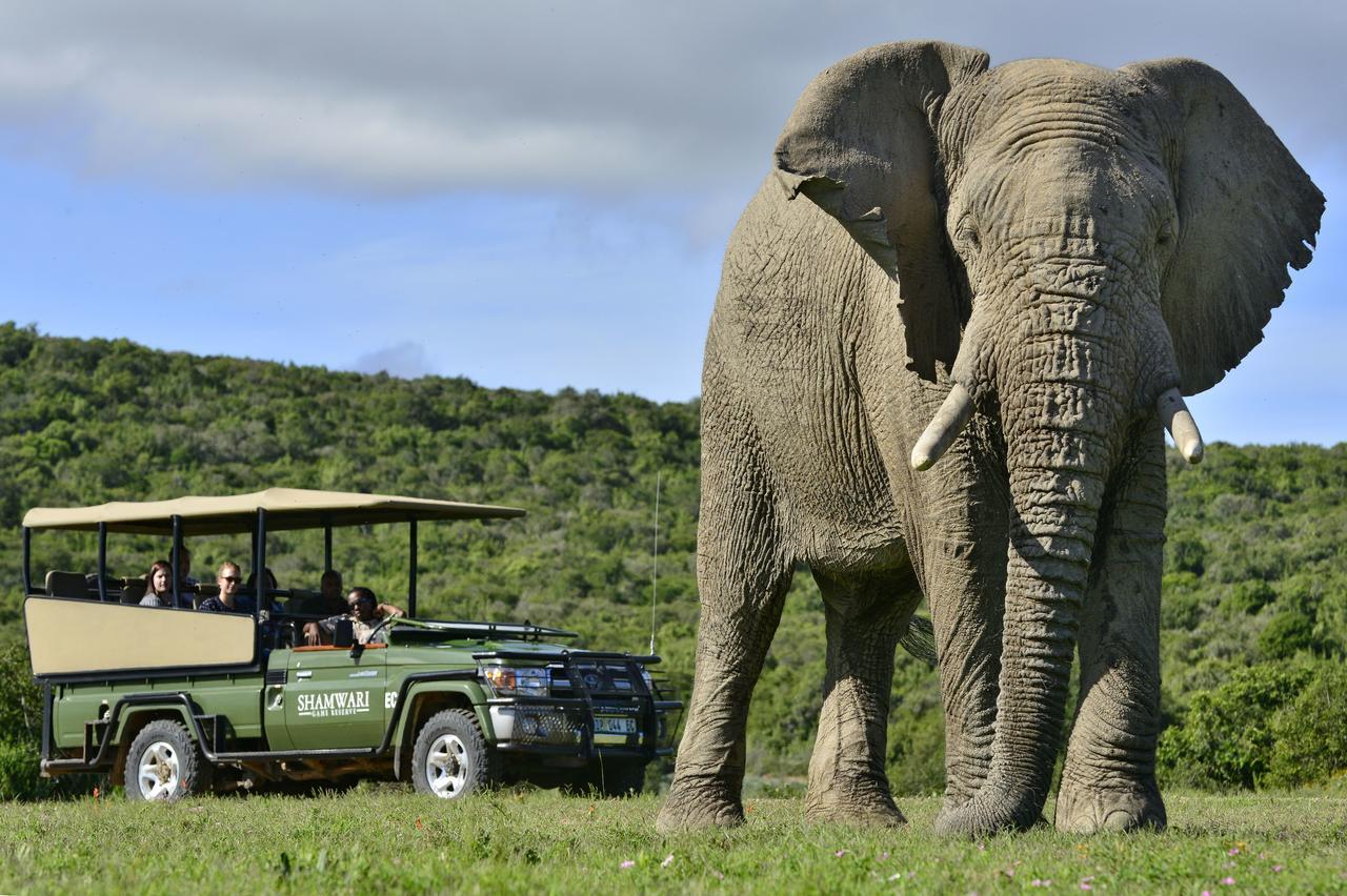 Villa Shamwari Eagles Crag Port Elizabeth Esterno foto